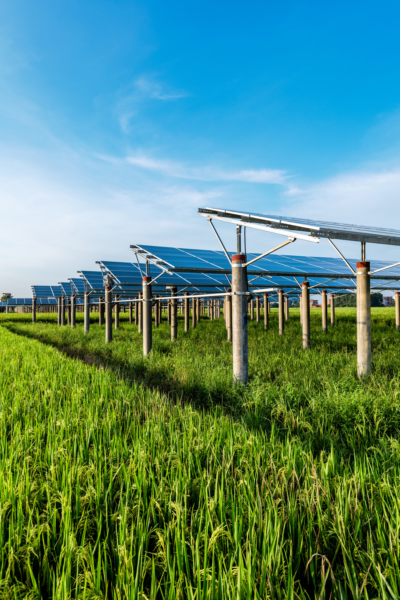 Solar power plant